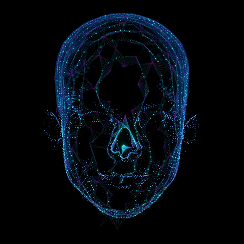 Animated gif with faces