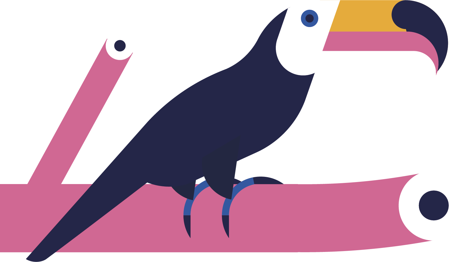 pelican