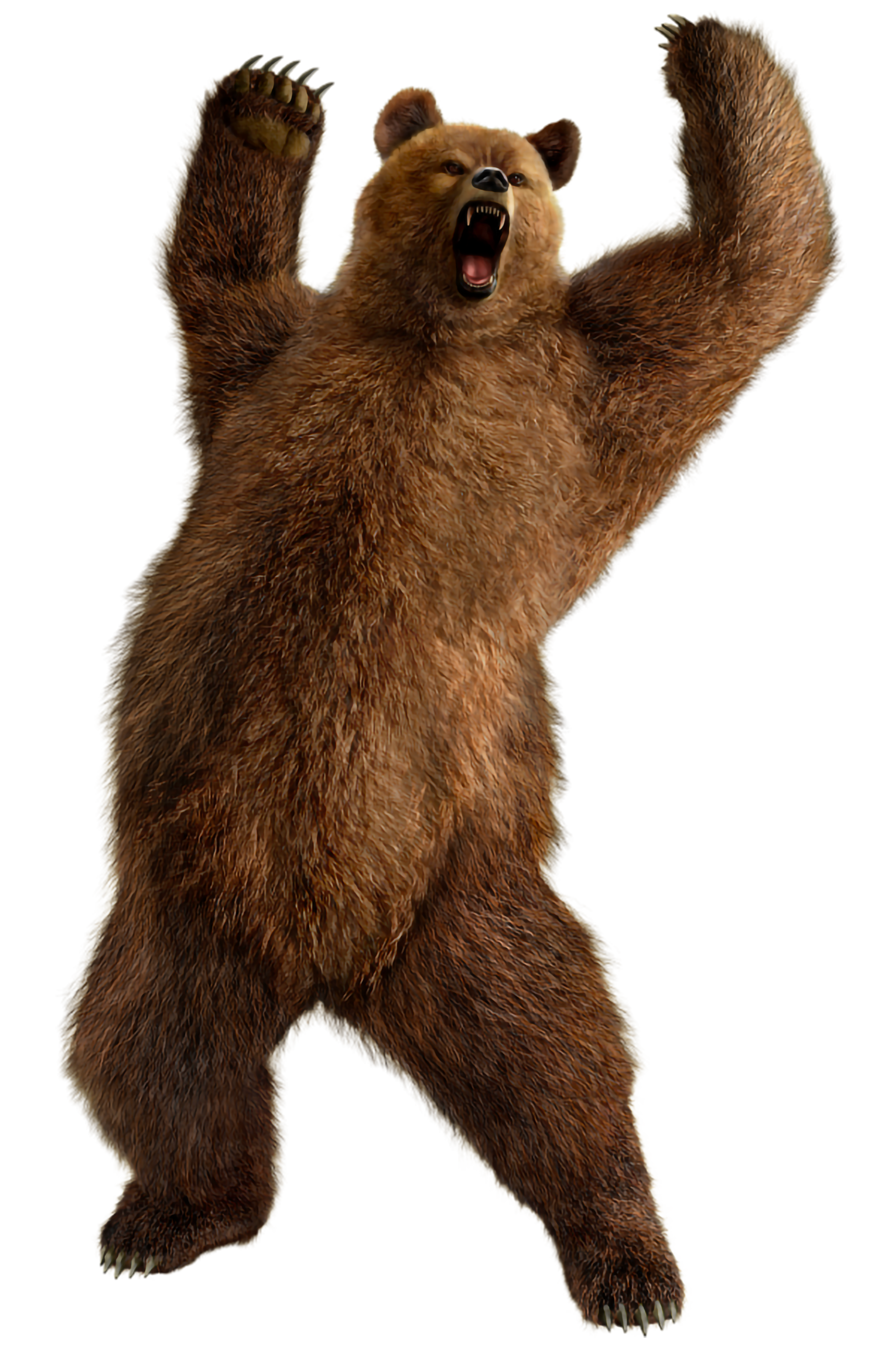 ours1