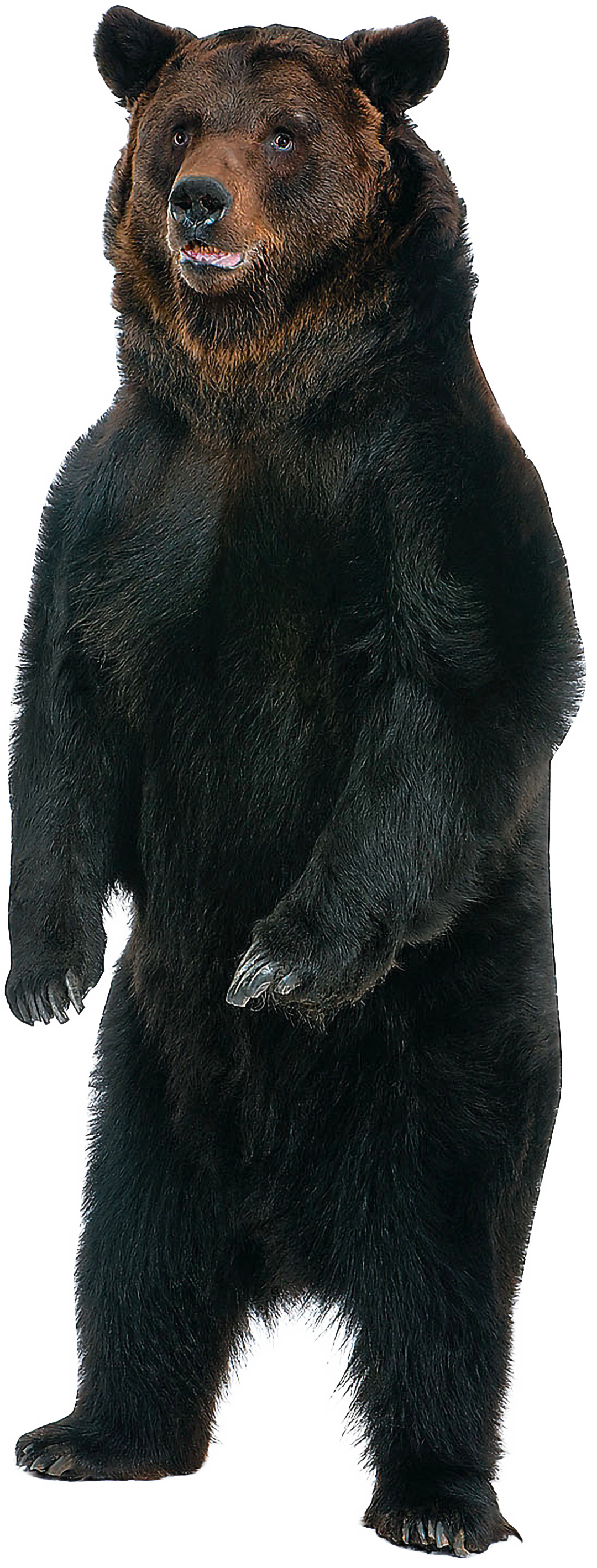 ours2