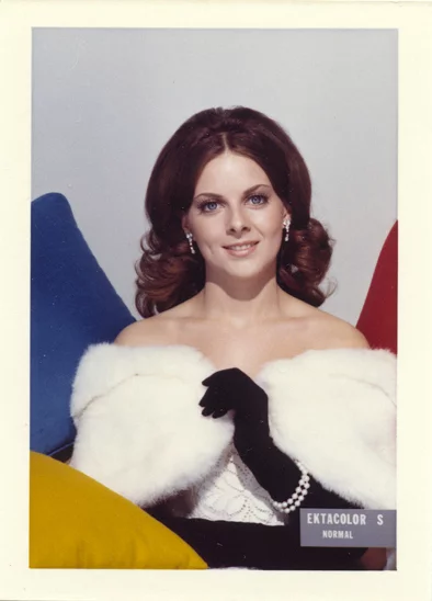 shirley-cards